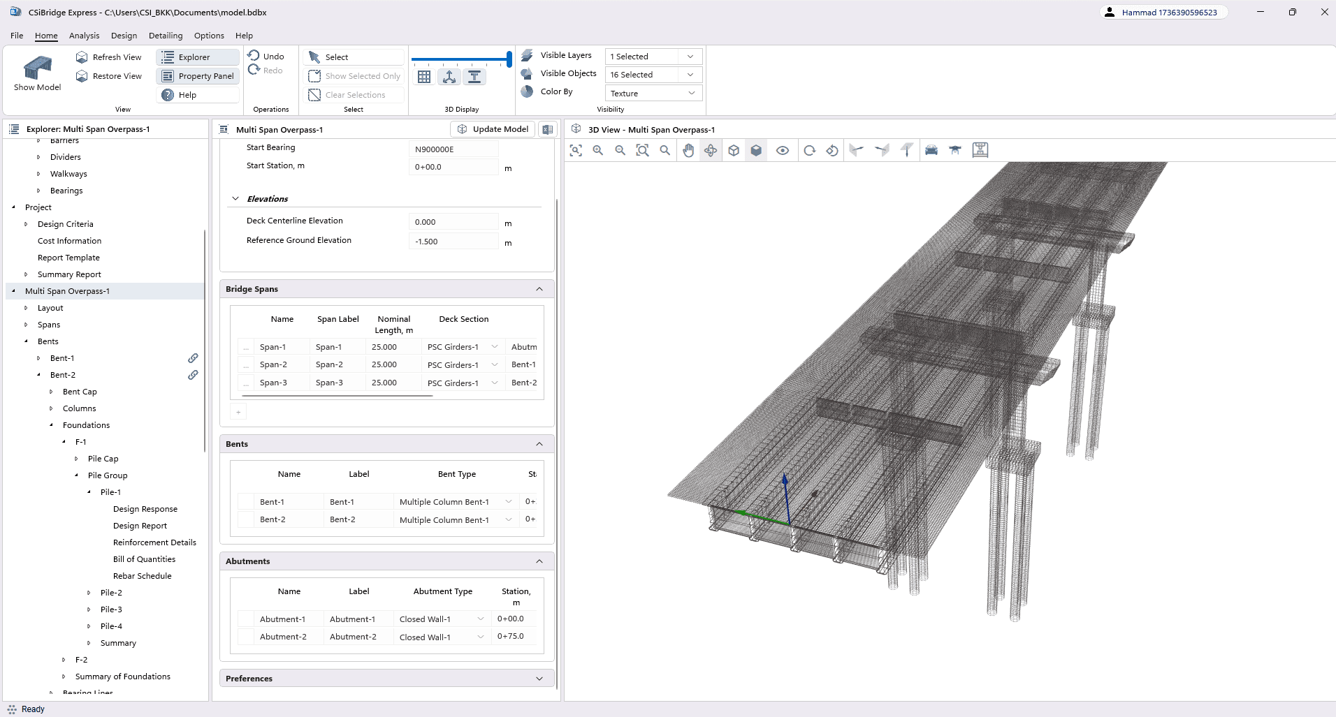 Detailing View Options
