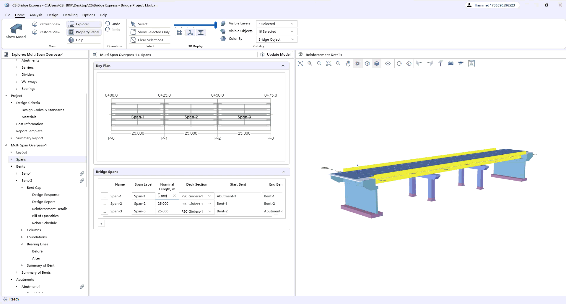 Parametric Design Capabilities