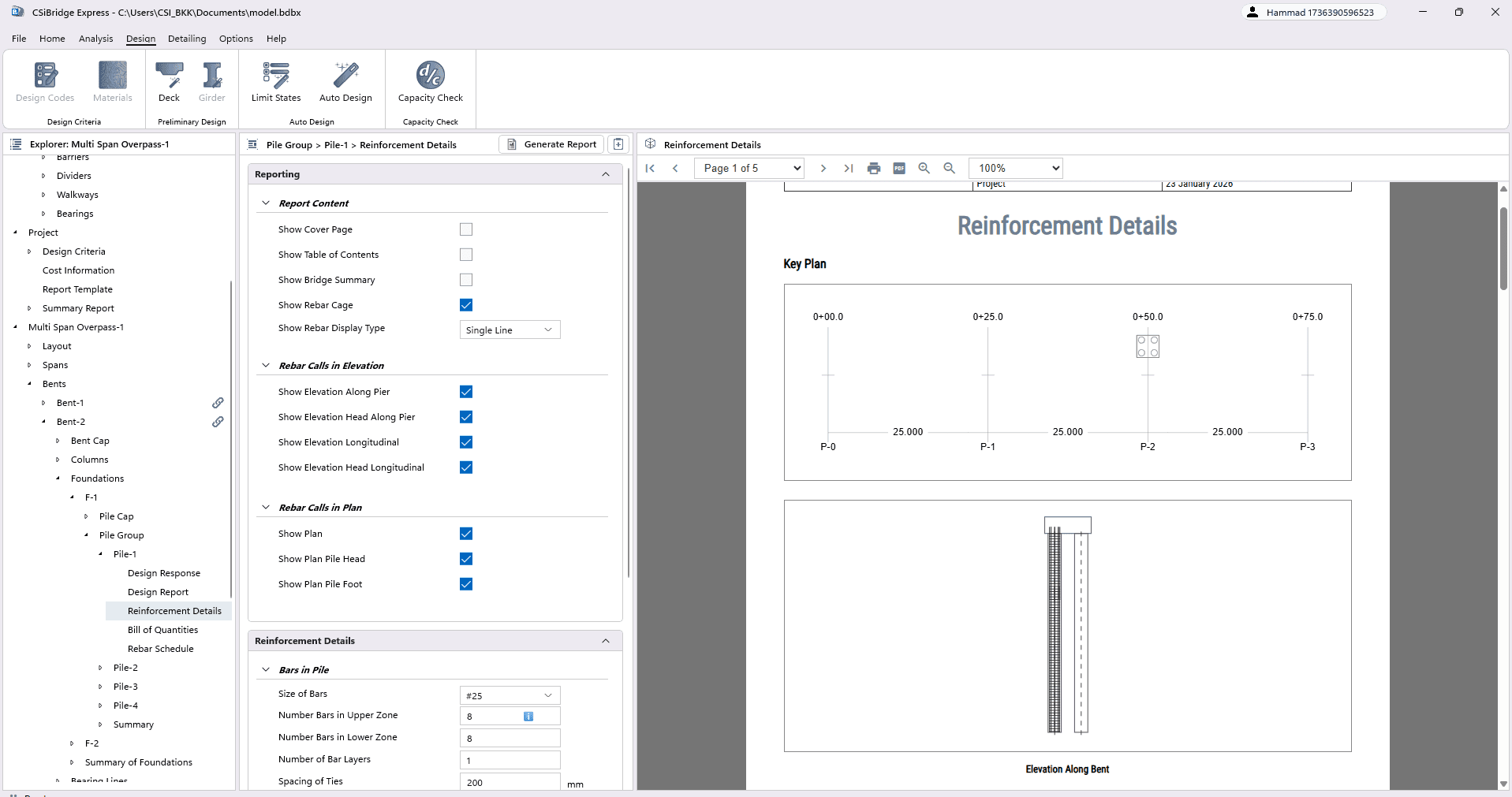 Pile Reinforcement Details